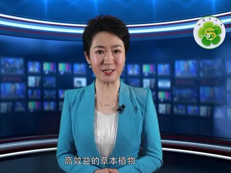 视频